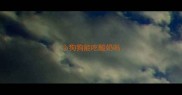 小狗狗能吃酸奶吗
