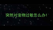 突然对宠物过敏怎么办
