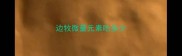 边牧微量元素吃多少