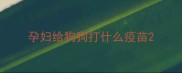 孕妇给狗狗打什么疫苗