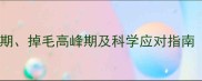 哈士奇全换毛期掉毛高峰期及科学应对指南附护理干货