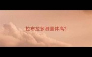 拉布拉多测量体高