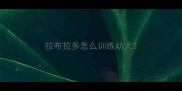 拉布拉多怎么训练幼犬