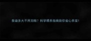 泰迪多大不用泡粮科学喂养指南助你省心养宠