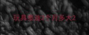 玩具泰迪2个月多大