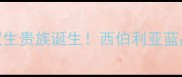 哈士奇大丹犬双生贵族诞生西伯利亚蓝晶混血萌宠全攻略