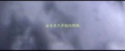 金毛多大开始吃狗粮