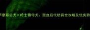 萨摩耶公犬哈士奇母犬混血后代培育全攻略及优劣势