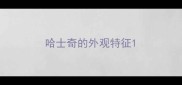 哈士奇的外观特征