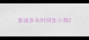 泰迪多长时间生小狗