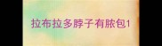 拉布拉多脖子有脓包