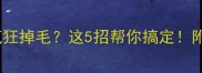 哈士奇洗澡后疯狂掉毛这5招帮你搞定附超全护理攻略