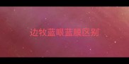 边牧蓝眼蓝膜区别