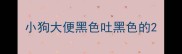 小狗大便黑色吐黑色的