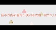 3步搞定新手养狗必看的小便训练攻略附90人踩过的坑