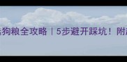 拉布拉多选狗粮全攻略5步避开踩坑附超全推荐清单