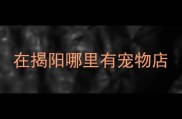 在揭阳哪里有宠物店