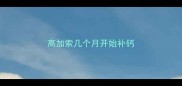 高加索几个月开始补钙