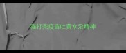 猫打完疫苗吐黄水没精神