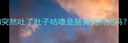 养狗人必收藏小狗突然吐了肚子咕噜是肠胃炎前兆吗手把手教你应对技巧