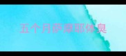 五个月萨摩耶体臭