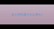 哈士奇刚满月怎么喂水