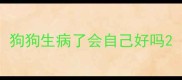 狗狗生病了会自己好吗