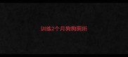 训练2个月狗狗厕所