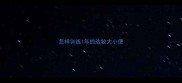 怎样训练1年的边牧大小便