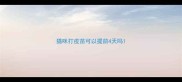 猫咪打疫苗可以提前4天吗