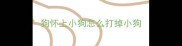 狗怀上小狗怎么打掉小狗