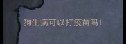 狗生病可以打疫苗吗