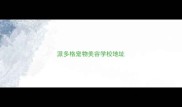 派多格宠物美容学校地址