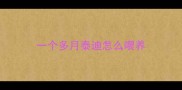 一个多月泰迪怎么喂养