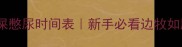 边境牧羊犬憋屎憋尿时间表新手必看边牧如厕训练全攻略