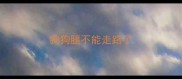 狗狗腿不能走路了