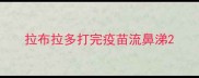 拉布拉多打完疫苗流鼻涕