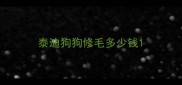 泰迪狗狗修毛多少钱