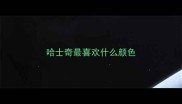 哈士奇最喜欢什么颜色