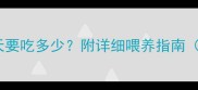 一个月大的马犬每天要吃多少附详细喂养指南附幼犬月龄体重表