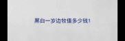 黑白一岁边牧值多少钱