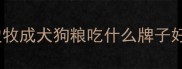 边牧成犬狗粮吃什么牌子好