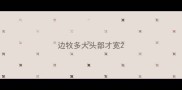 边牧多大头部才宽