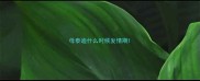 母泰迪什么时候发情期