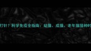 猫咪一般几个月打针科学免疫全指南幼猫成猫老年猫接种时间表与注意事项