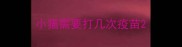 小猫需要打几次疫苗