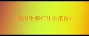 狗出生后打什么疫苗