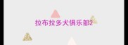 拉布拉多犬俱乐部