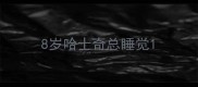 8岁哈士奇总睡觉