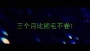 三个月比熊毛不卷